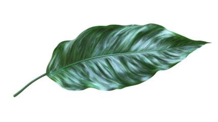 You've reached our limit of messages per hour Please try again later