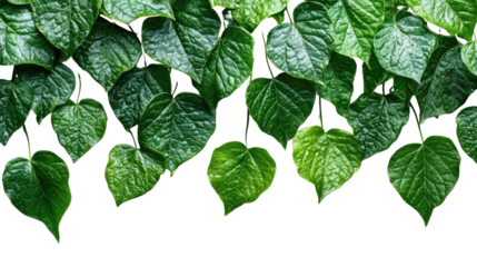 You've reached our limit of messages per hour Please try again later