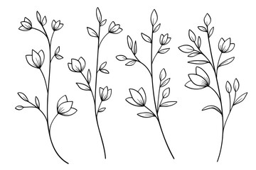 Hand-Drawn Twigs with Leaves in a Botanical Collection.Vector illustration