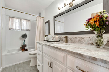 a home bathroom interior with a sink
