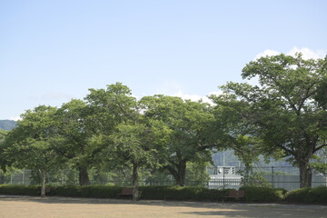 日本の真夏の無人の公園