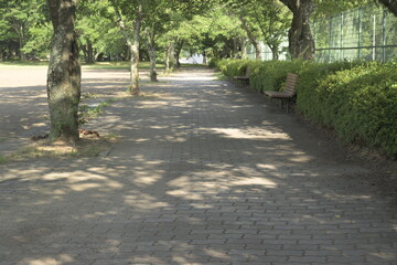 日本の真夏の無人の公園