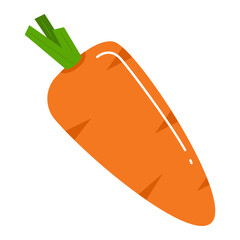 Vegetable Illustration