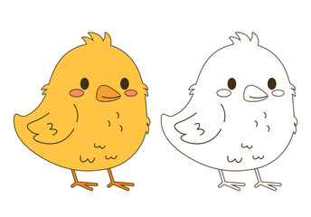 Flat style illustration of a cute chick shown in color and outline versions, perfect for coloring pages, childrens projects, spring themes, and farm animal collections.