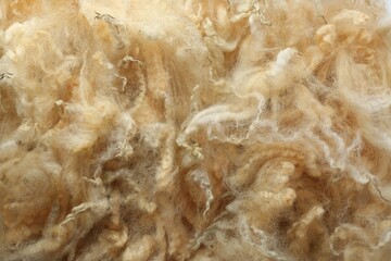 Soft white wool texture as background, closeup