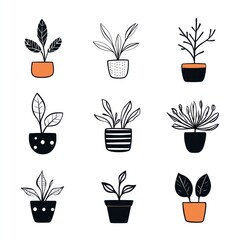 Several different illustrative depictions of potted indoor plants are shown