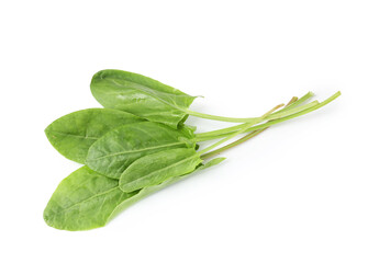 Fresh green sorrel leaves isolated on white, top view