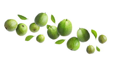 Fresh guava fruits and leaves flying on white background
