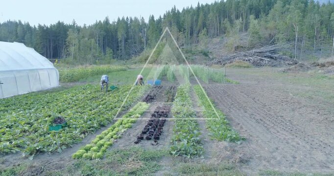 Farmers working in vegetable garden with circular data processing animation overlay