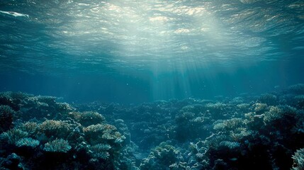 Obraz premium Mesmerizing Underwater Scene: Vibrant Coral Reef in Deep Blue Ocean