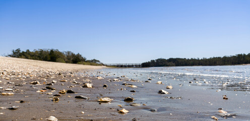 Shoreline of Little River, South Carolina
