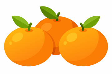 vector illustration of an orange fruit