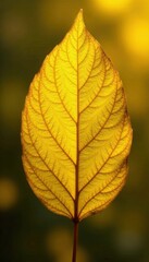 Fototapeta premium Bright yellow leaf with intricate golden foil texture, shiny yellow leaf gold foil texture, golden accents, foliage patterns