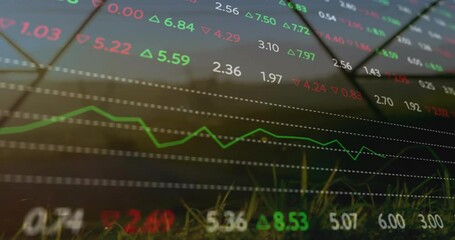 Fluctuating stock market data with animation of graphs on grassy landscape