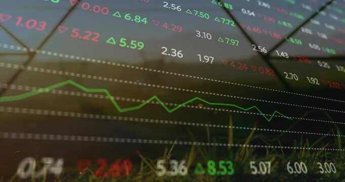 Fluctuating stock market data with animation of graphs on grassy landscape