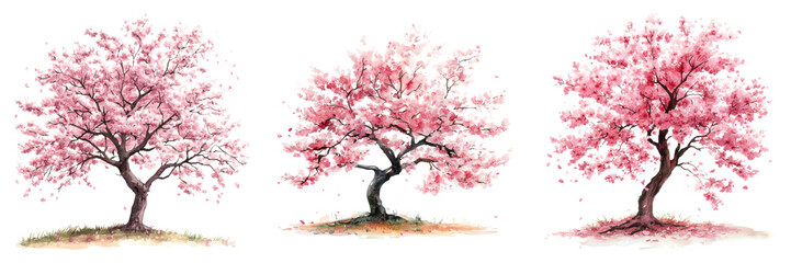 Fototapeta premium serene collection of cherry blossom trees, showcasing their delicate pink flowers and graceful forms, evokes tranquility