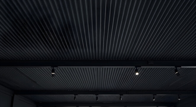 Modern Black Corrugated Metal Ceiling With Track Lighting Fixtures