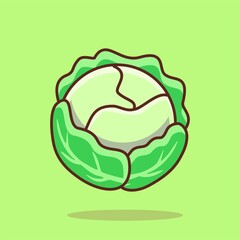 Cabbage Illustration
