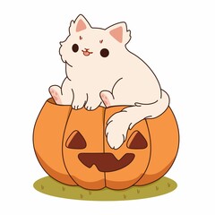 cat and pumpkin