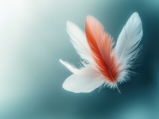 Feathers floating in triadic color scheme with soft light and space for text