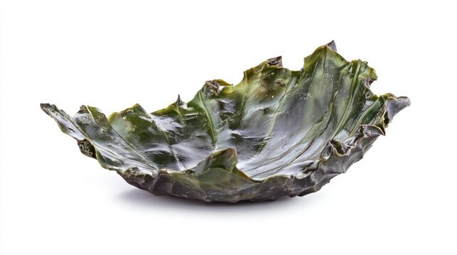 Skarn isolated on white background