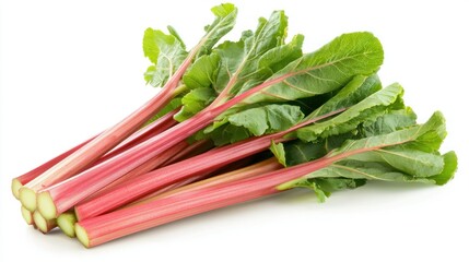 Rhubarb isolated on white background