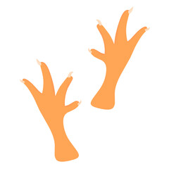 Chicken feet vector illustration on white background. Poultry feet pattern with colors is perfect for wallpapers, posters and logos.