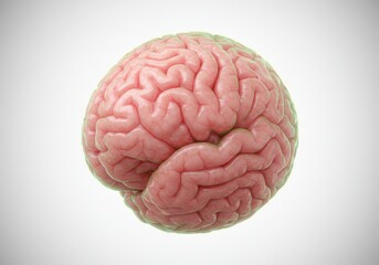 Brain-shaped eyeball surreal anatomy optical