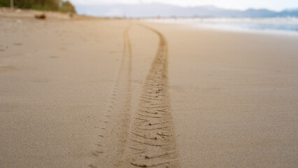 Motorcycle tire tracks on smooth sandy beach, creating a winding path toward the distant horizon. Coastal scenery with a sense of travel, freedom, and adventure under a warm, golden sky.