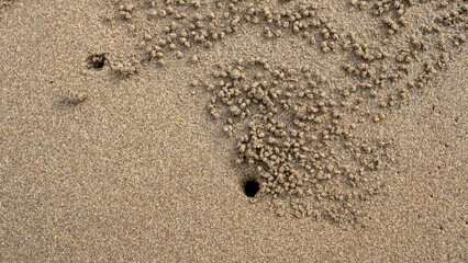 : Close-up of a sand bubbler crab burrow surrounded by small sand pellets on a beach. The intricate natural patterns form as the crab filters sand for food, leaving a unique organic design.