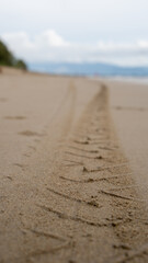 Close-up of a motorcycle tire track on sandy beach, leading into the blurred horizon. A minimalist composition symbolizing movement, solitude, and exploration in a serene coastal setting.