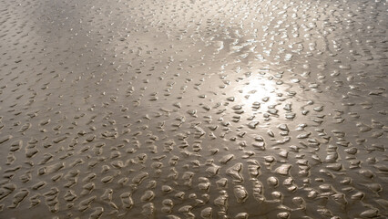 Shiny wet sand with intricate ripple textures reflecting sunlight. The abstract natural pattern, formed by tides, creates a mesmerizing and organic design perfect for backgrounds and artistic concepts