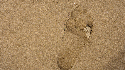 A single footprint on a cracked, wet sandy surface, displaying natural textures and details.