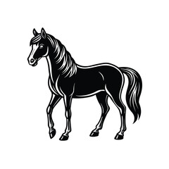 Obraz premium horse walking silhouette vector on white background