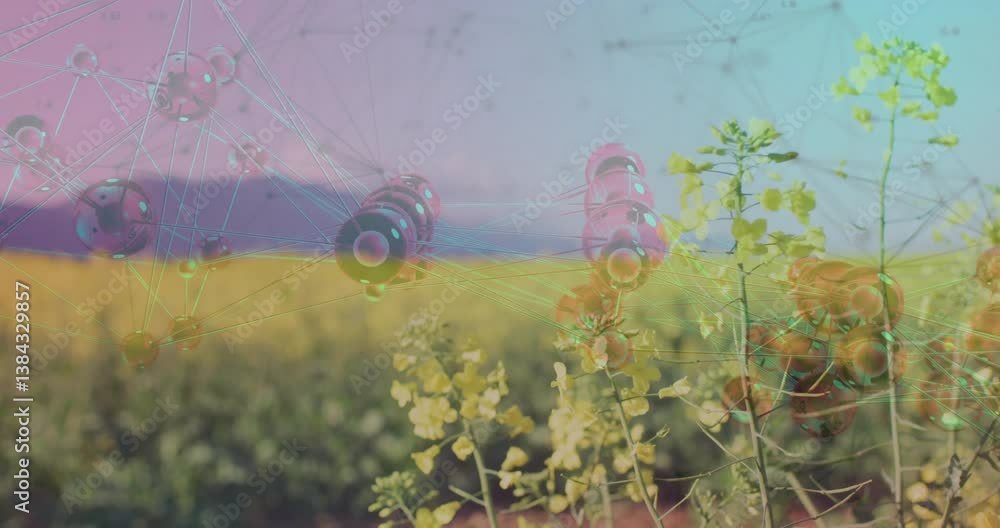 Poster network of molecules and data processing animation over agricultural field