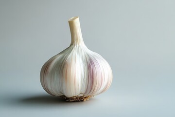 A single bulb of fresh garlic against a neutral background