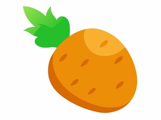 A Tuber vegetables on white background.