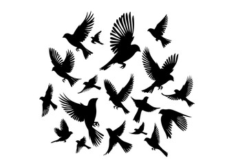 Birds Silhouette Hand Drawn Illustration Black and White Vector Isolated