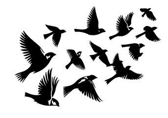 Birds Silhouette Hand Drawn Illustration Black and White Vector Isolated