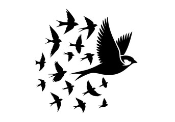 Birds Silhouette Hand Drawn Illustration Black and White Vector Isolated