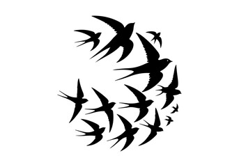 Birds Silhouette Hand Drawn Illustration Black and White Vector Isolated