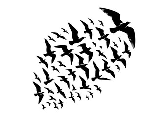 Birds Silhouette Hand Drawn Illustration Black and White Vector Isolated