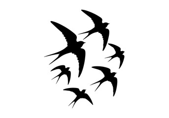 Birds Silhouette Hand Drawn Illustration Black and White Vector Isolated