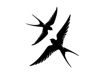 Birds Silhouette Hand Drawn Illustration Black and White Vector Isolated