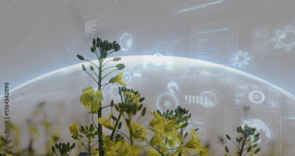 Poster yellow flowers with digital data processing animation over earth in background