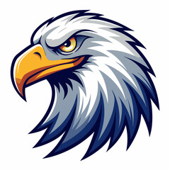 Fototapeta premium American bald eagle
