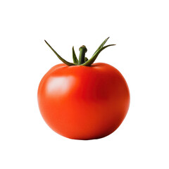 Minimalist Tomato Art on transparent background