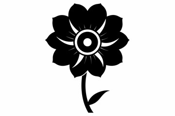black and white flowers