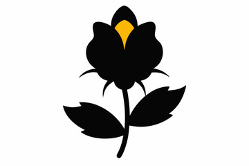 black and white flowers