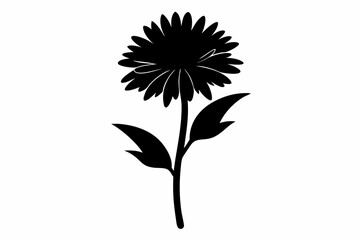 black and white flowers